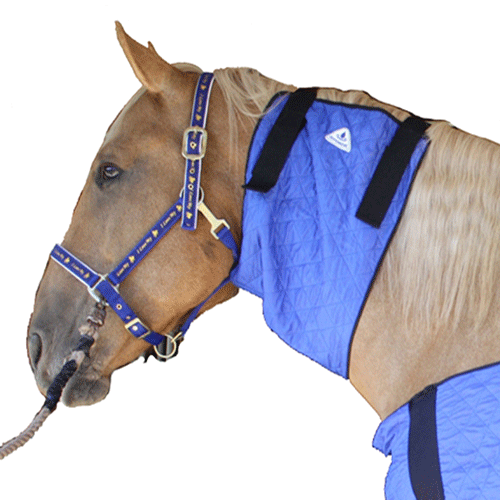 HYPERKEWL Evaporative Cooling Horse Neck Wrap